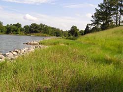 Marsh sill gapped